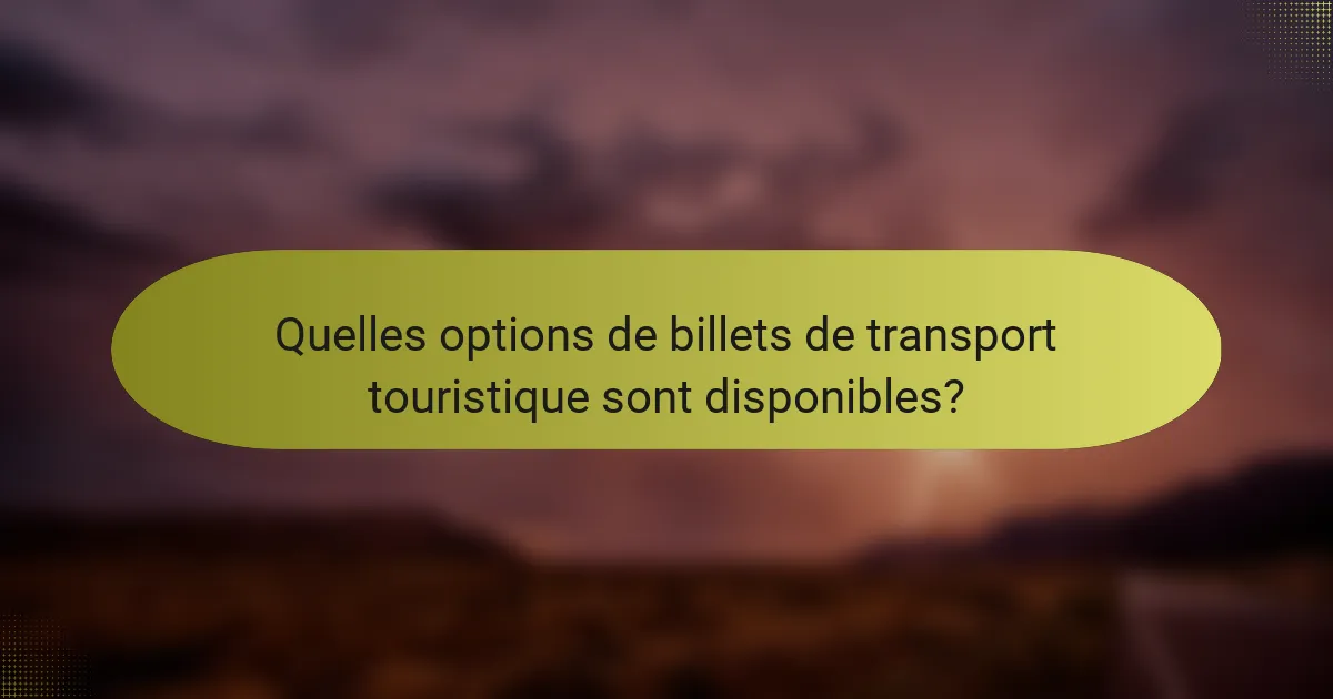 Quelles options de billets de transport touristique sont disponibles?