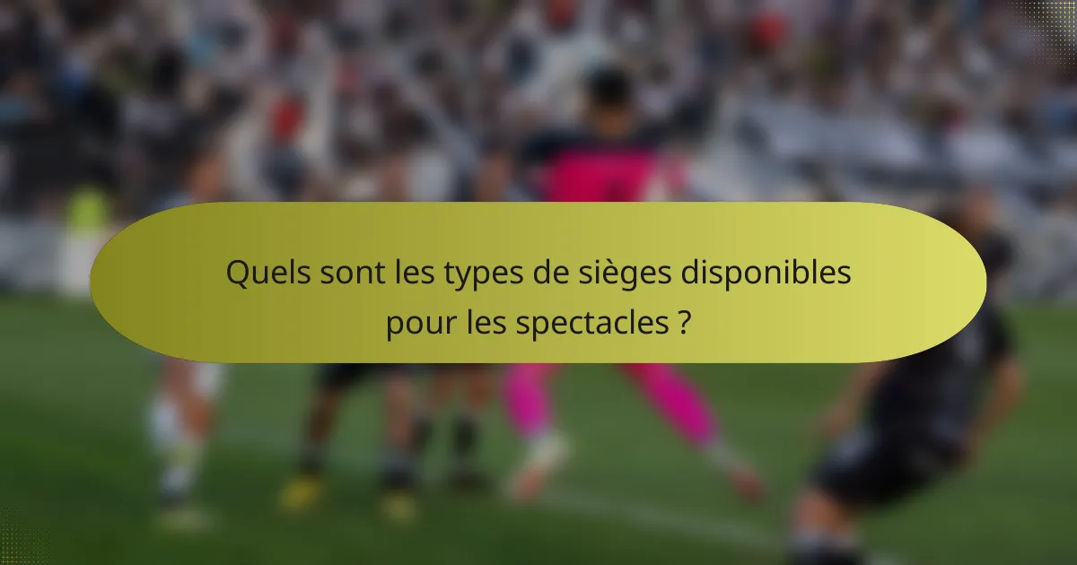 Quels sont les types de sièges disponibles pour les spectacles ?