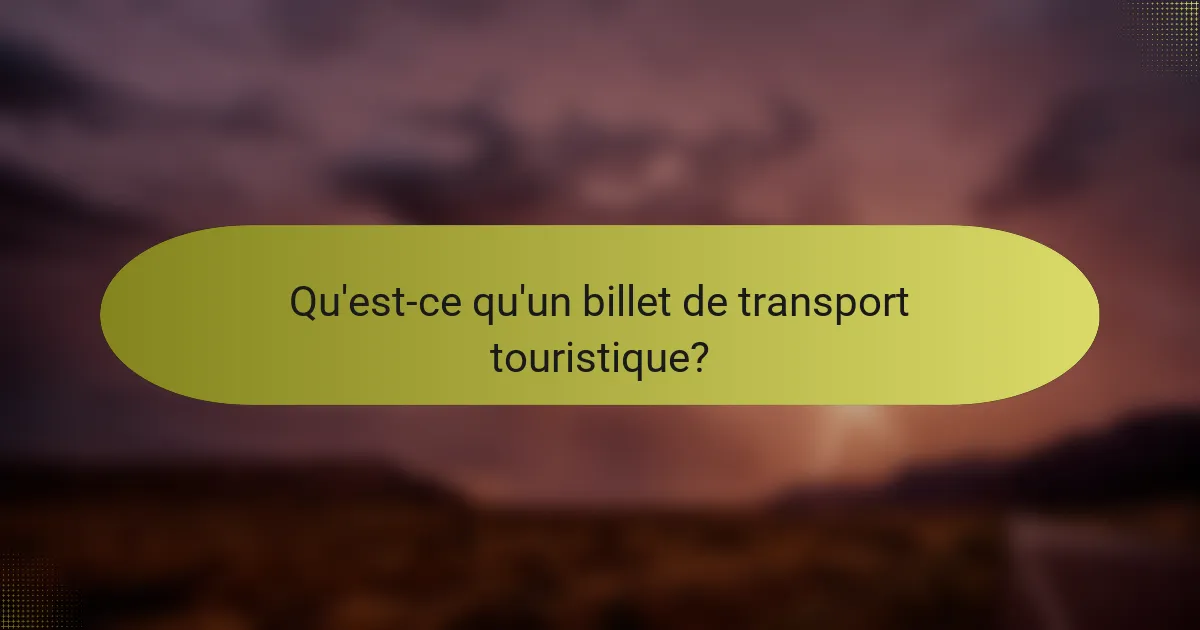 Qu'est-ce qu'un billet de transport touristique?